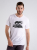 c8ae2b890a7dadcb783748dbc1c9c875.png