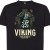Viking.jpg