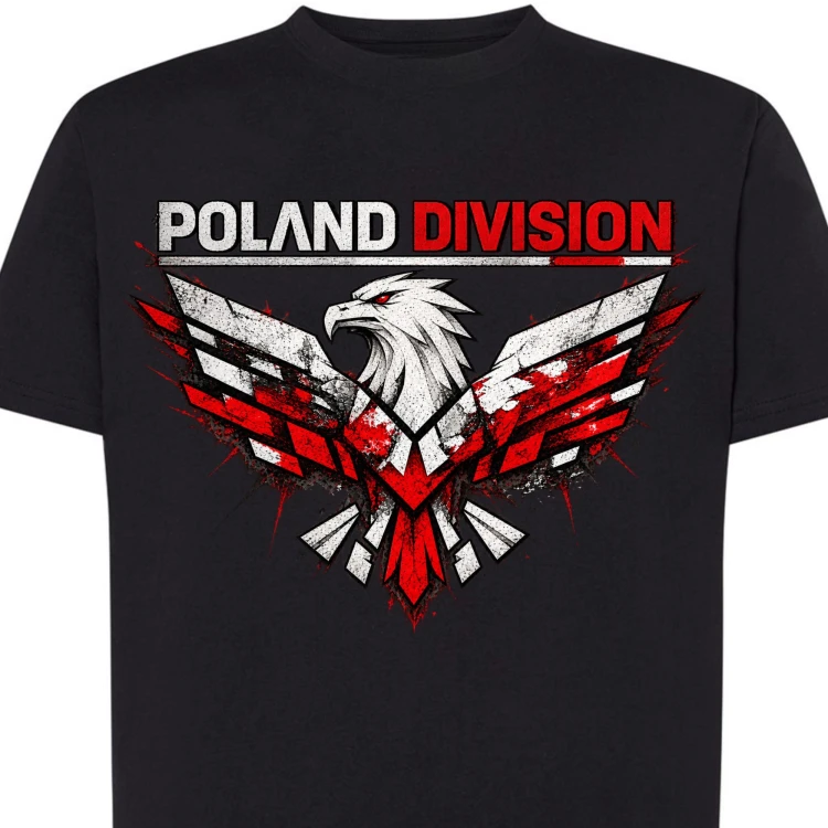 Poland division miniatura.jpg
